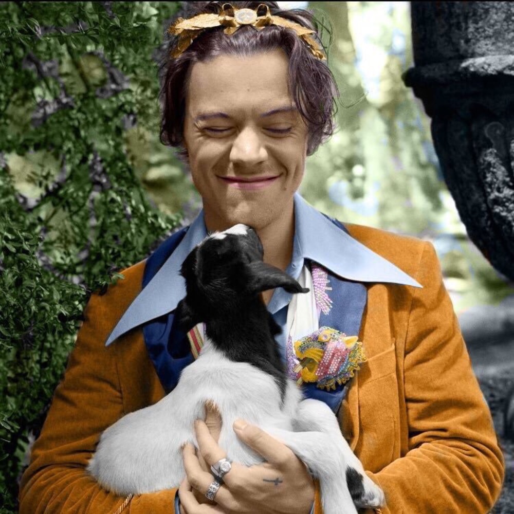 Meet your Posher, Karen